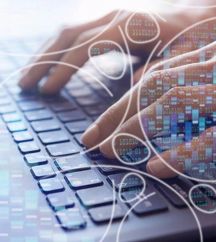 RBCL Gene Sequencing