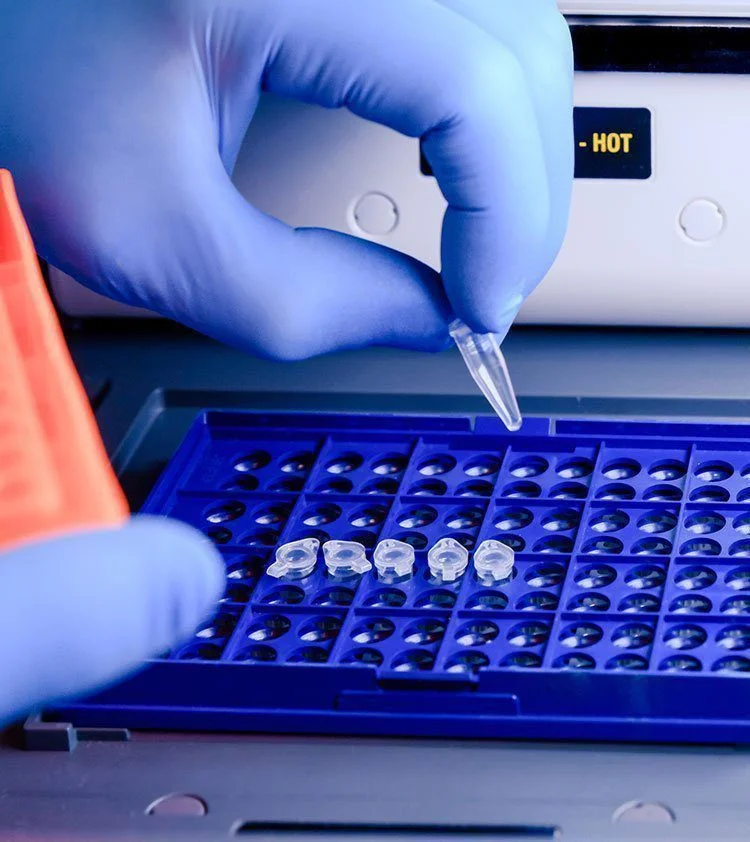 Food and Microbiome Services