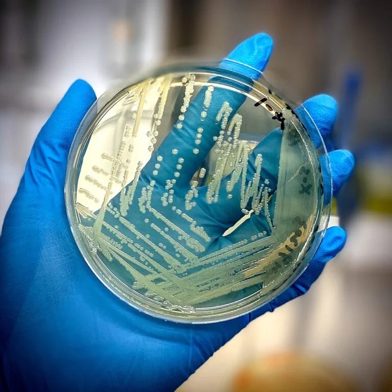 Probing the Genetic Map