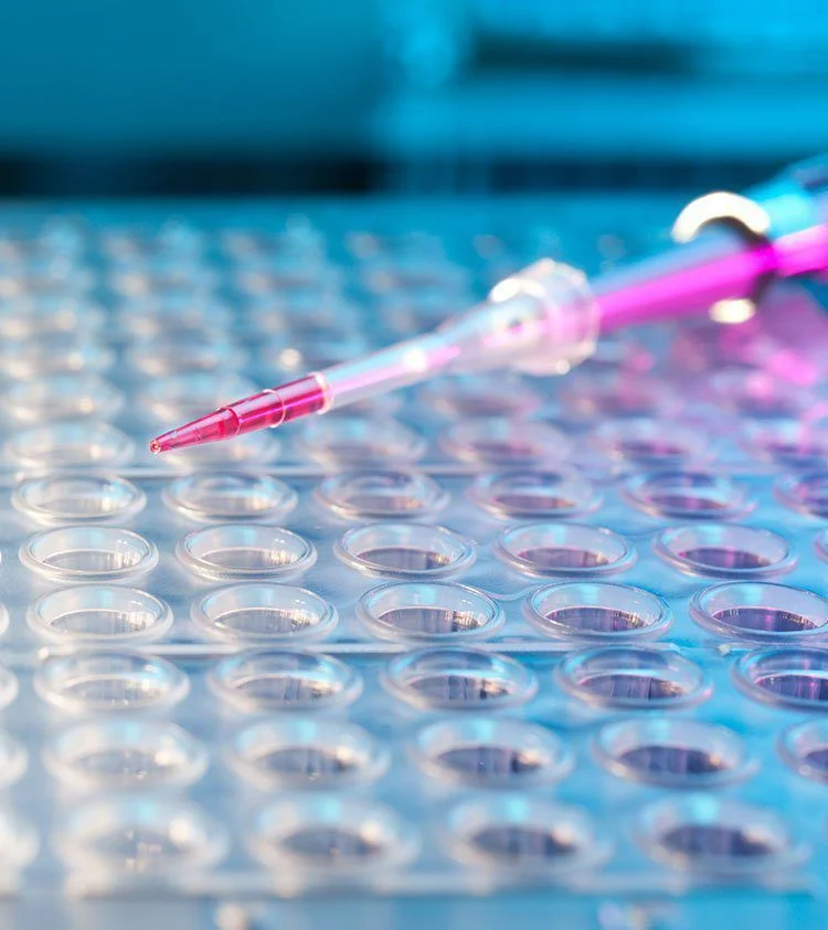 DNA Sequencing Services